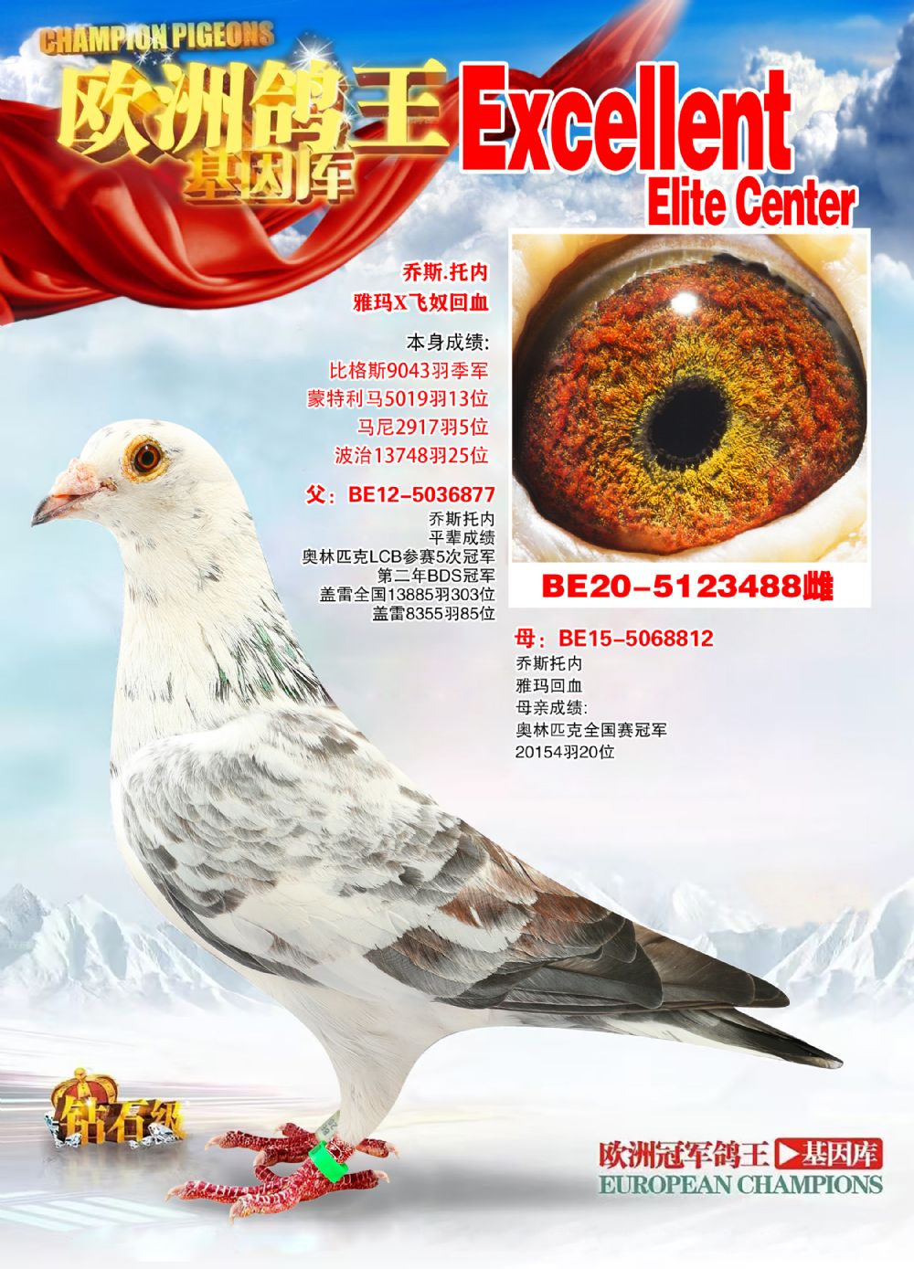 详细阅读:信鸽拍卖网(gps信鸽拍卖网) 信鸽拍卖网(gps信鸽拍卖网)